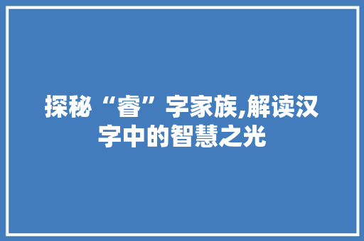 探秘“睿”字家族,解读汉字中的智慧之光
