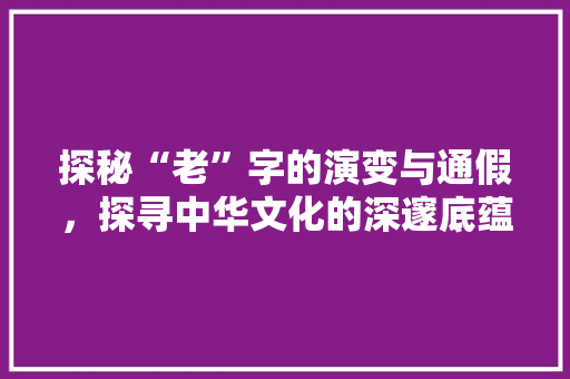 探秘“老”字的演变与通假，探寻中华文化的深邃底蕴 工作总结