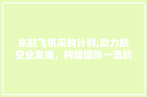 东航飞机采购计划,助力航空业发展，构建国际一流航空品牌