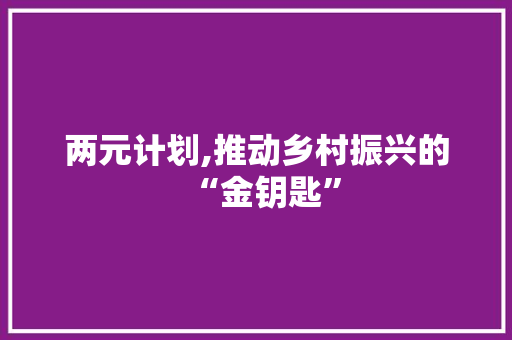两元计划,推动乡村振兴的“金钥匙”