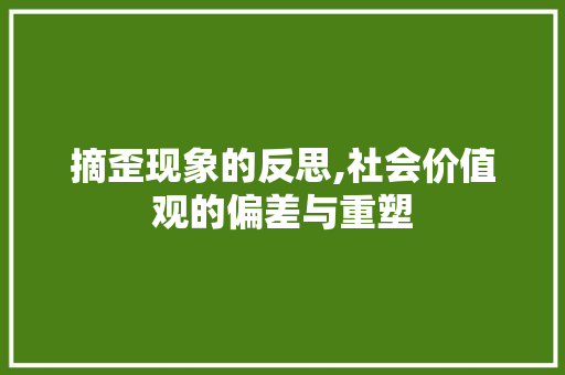 摘歪现象的反思,社会价值观的偏差与重塑