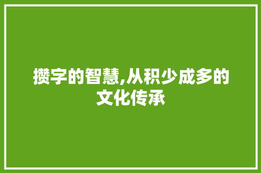 攒字的智慧,从积少成多的文化传承