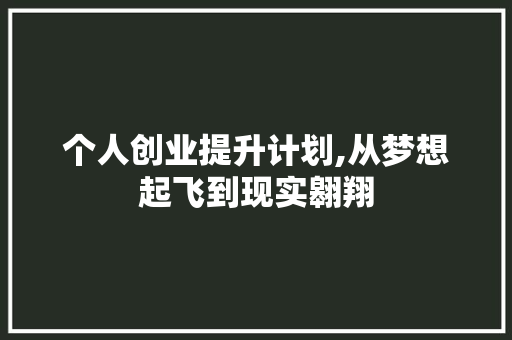 个人创业提升计划,从梦想起飞到现实翱翔