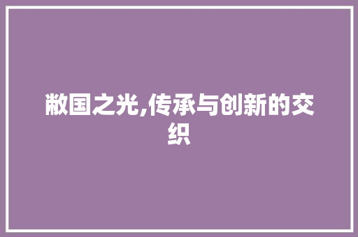 敝国之光,传承与创新的交织