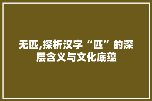 无匹,探析汉字“匹”的深层含义与文化底蕴