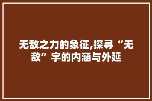 无敌之力的象征,探寻“无敌”字的内涵与外延