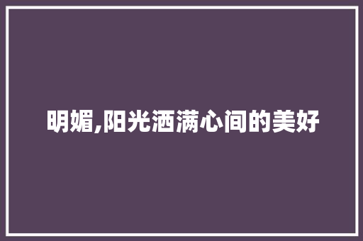 明媚,阳光洒满心间的美好