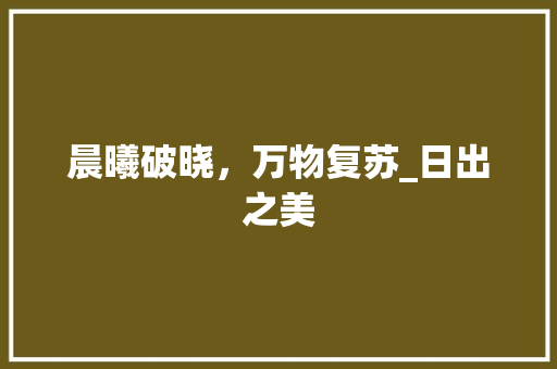 晨曦破晓，万物复苏_日出之美