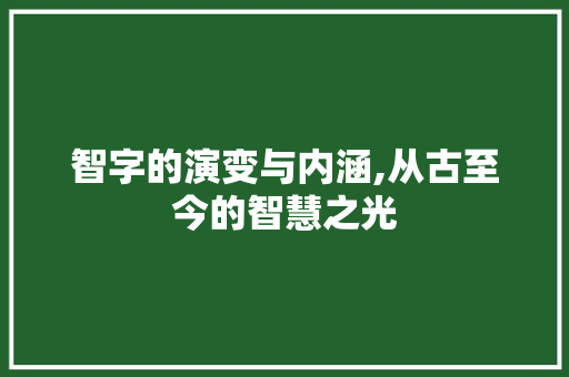 智字的演变与内涵,从古至今的智慧之光