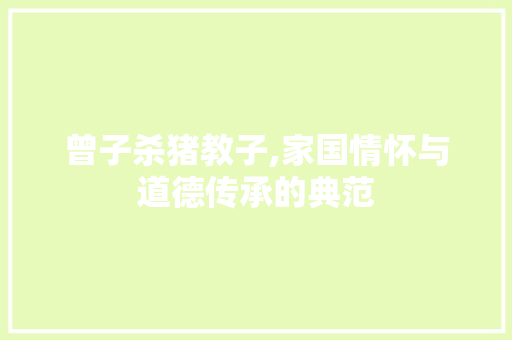 曾子杀猪教子,家国情怀与道德传承的典范