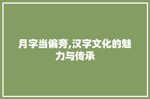 月字当偏旁,汉字文化的魅力与传承