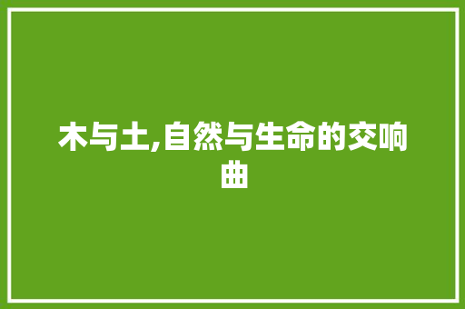 木与土,自然与生命的交响曲 生活随笔