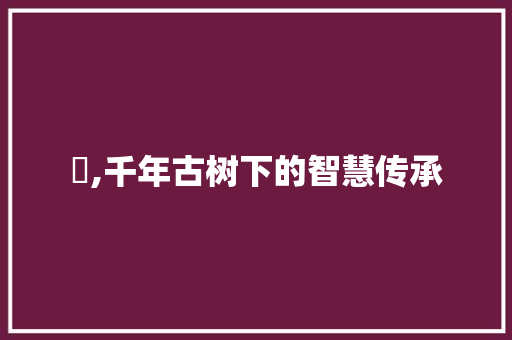 杫,千年古树下的智慧传承