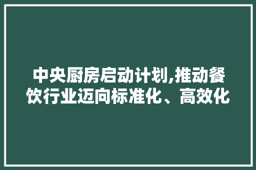 中央厨房启动计划,推动餐饮行业迈向标准化、高效化新篇章