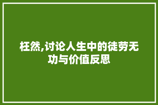 枉然,讨论人生中的徒劳无功与价值反思