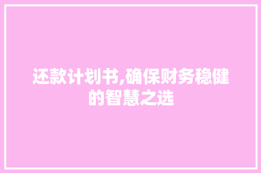 还款计划书,确保财务稳健的智慧之选