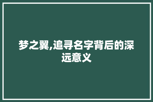 梦之翼,追寻名字背后的深远意义