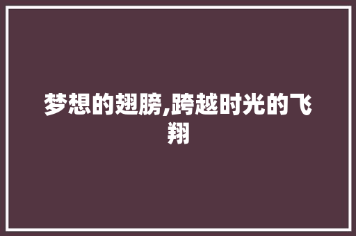 梦想的翅膀,跨越时光的飞翔