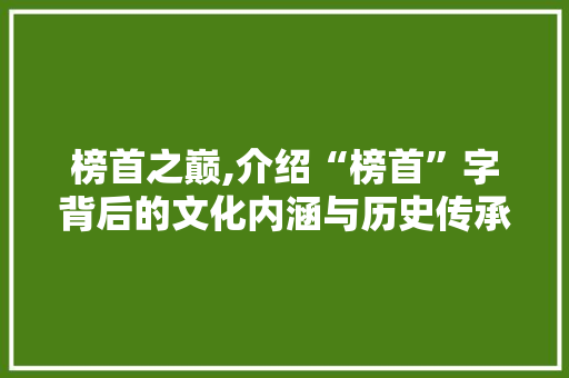 榜首之巅,介绍“榜首”字背后的文化内涵与历史传承