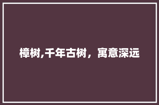 樟树,千年古树，寓意深远