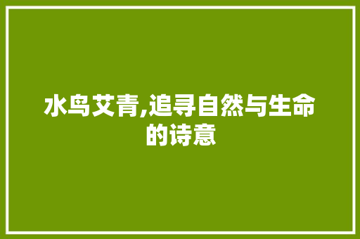 水鸟艾青,追寻自然与生命的诗意