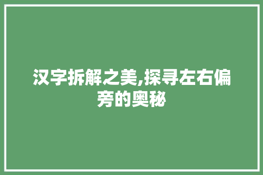汉字拆解之美,探寻左右偏旁的奥秘