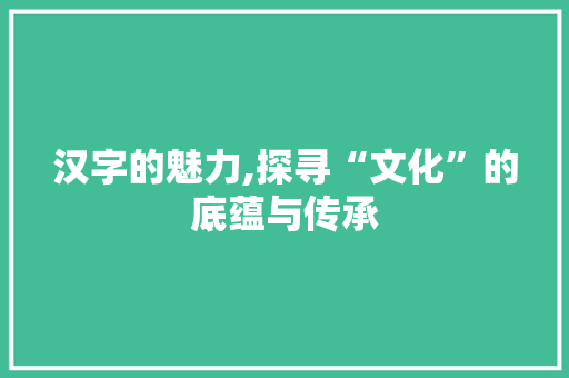 汉字的魅力,探寻“文化”的底蕴与传承