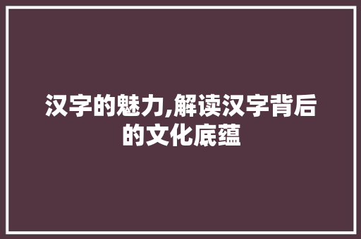 汉字的魅力,解读汉字背后的文化底蕴