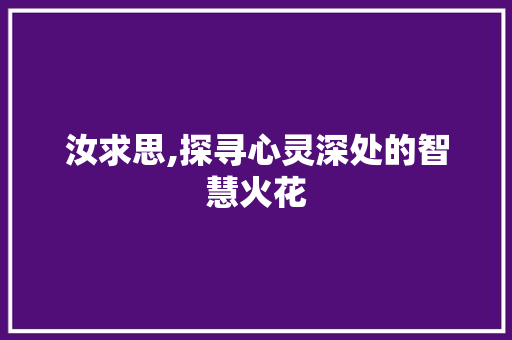 汝求思,探寻心灵深处的智慧火花