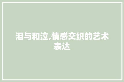 泪与和泣,情感交织的艺术表达