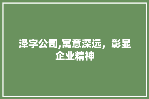 泽字公司,寓意深远，彰显企业精神
