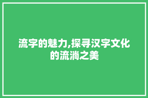 流字的魅力,探寻汉字文化的流淌之美