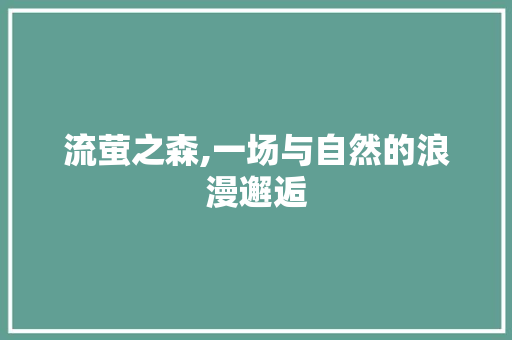流萤之森,一场与自然的浪漫邂逅