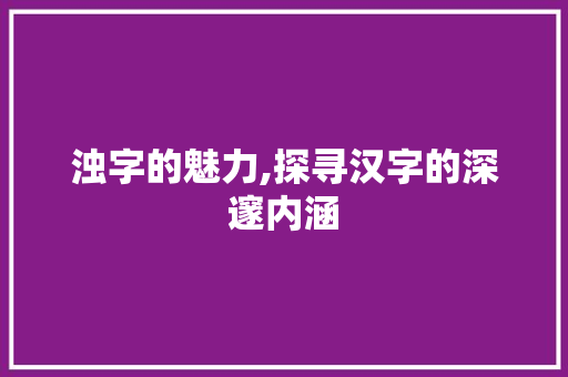 浊字的魅力,探寻汉字的深邃内涵
