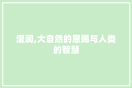 湿润,大自然的恩赐与人类的智慧
