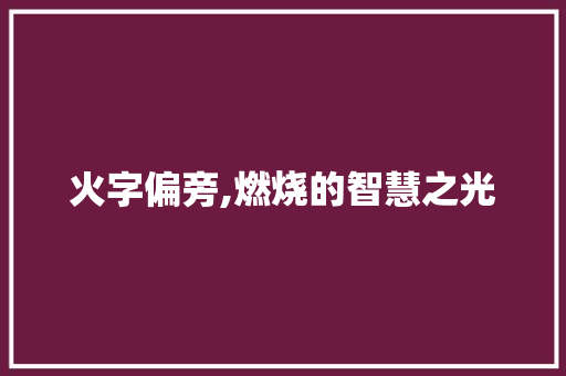 火字偏旁,燃烧的智慧之光