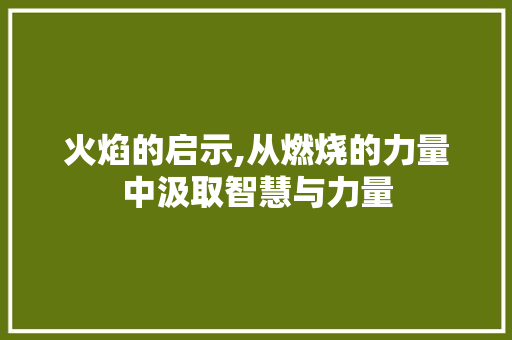 火焰的启示,从燃烧的力量中汲取智慧与力量
