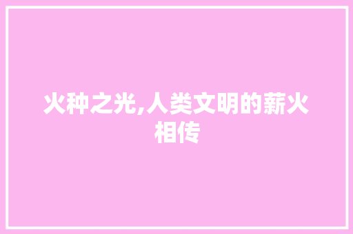 火种之光,人类文明的薪火相传 生活感悟