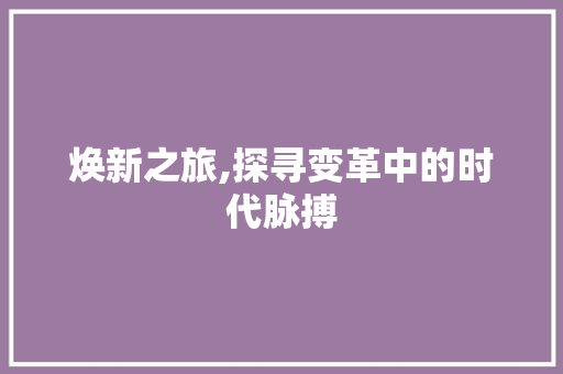 焕新之旅,探寻变革中的时代脉搏 工作类