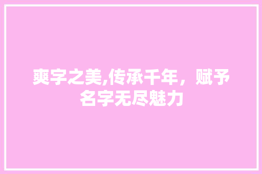 爽字之美,传承千年，赋予名字无尽魅力