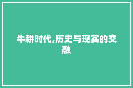 牛耕时代,历史与现实的交融