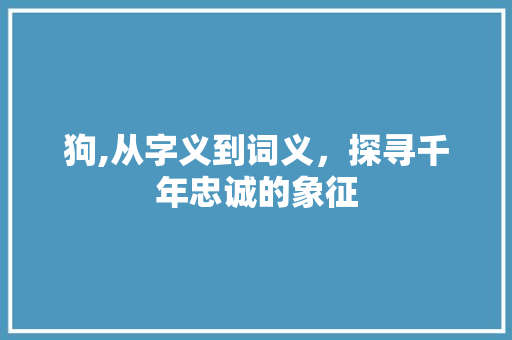 狗,从字义到词义，探寻千年忠诚的象征