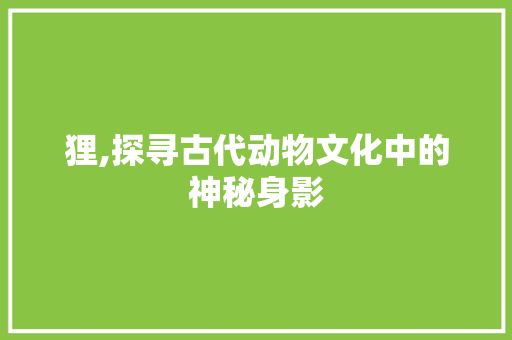 狸,探寻古代动物文化中的神秘身影
