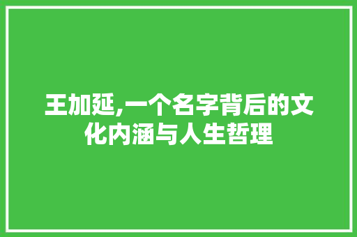 王加延,一个名字背后的文化内涵与人生哲理