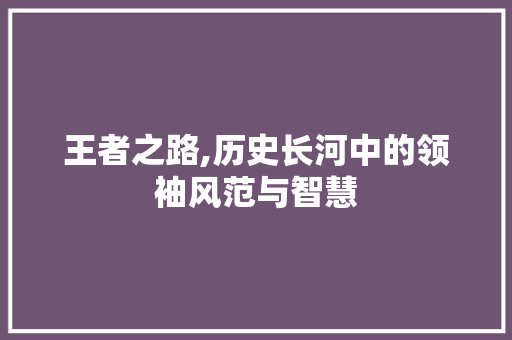王者之路,历史长河中的领袖风范与智慧 工作类