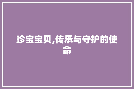 珍宝宝贝,传承与守护的使命