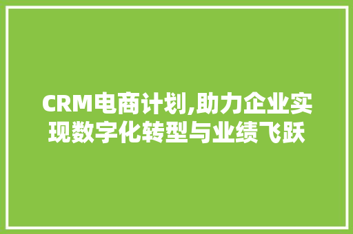 CRM电商计划,助力企业实现数字化转型与业绩飞跃