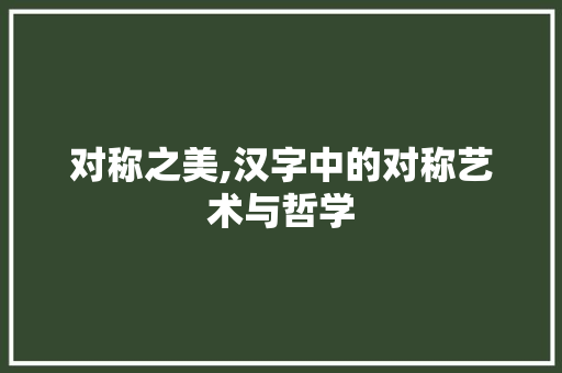 对称之美,汉字中的对称艺术与哲学