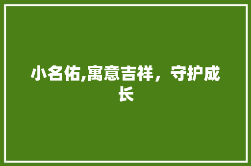 小名佑,寓意吉祥，守护成长
