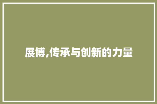 展博,传承与创新的力量